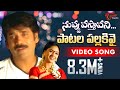 Nuvvu vasthavani songs  patala pallakivai male  nagarjuna  simran