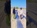 #water malon#farming #bakharala#porbandar#trending vedeo#vlog#
