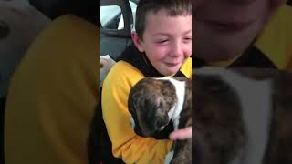 Boy Reacts To Getting Boxer Puppy For Christmas