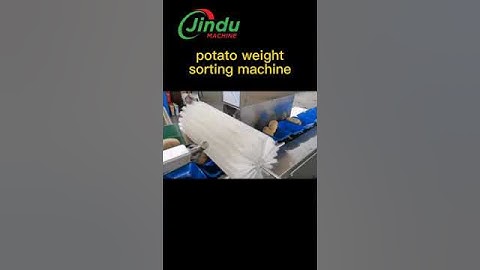 The FASTEST Way to Sort Potatoes Apples and Mangoes