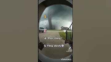 Ranking squirrel vs tornado🐿️(AI sora)#ranking#squirrel#tornado#ai