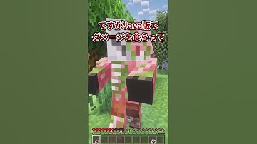 統合版にも欲しいJava版の要素