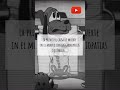 Datos perturbadores parte 205 😐 #datosperturbadores #miedo #horror #terror #paranormal #shorts