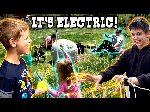🐐 Do Electric Fences Hurt? Lets Find Out on Goats, Dogs, Children, and Adults!