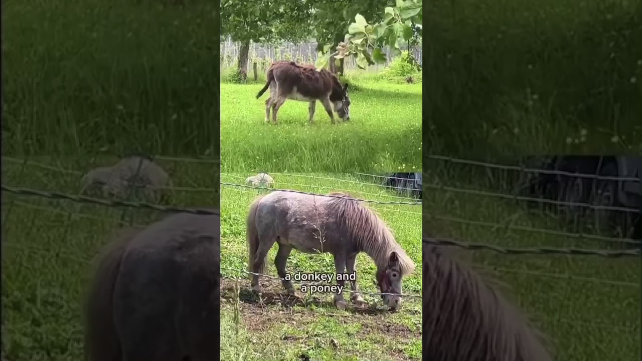 Barcelona to Berlin Day 11 