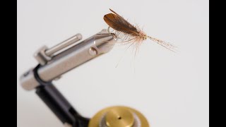 Sedge or Caddis with featherwings made with wingburners
