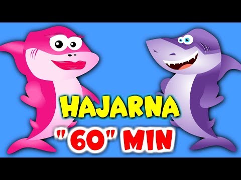 Hajarna - Bebis