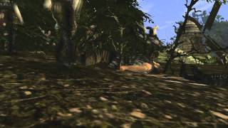 Gothic 2 - Bitwa w lesie. screenshot 2