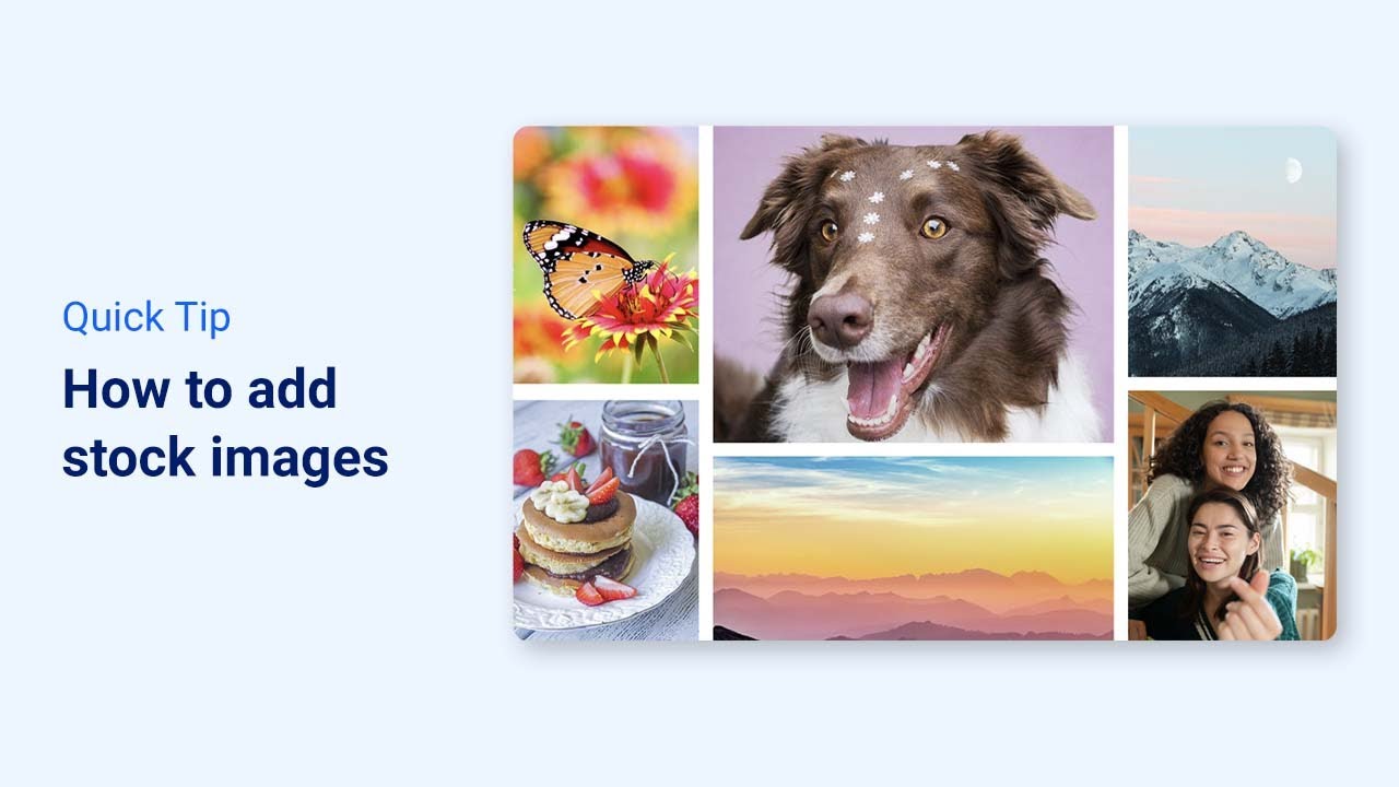 Add An Image From Stock Library