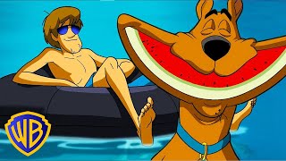 Scooby-Doo! | It's Summer Time! | WB Kids