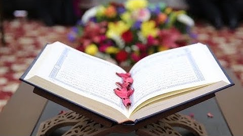 #قران_كريم #سورة_هود #يوسف #الرعد #ابراهيم #الحجر #النحل #الاسراء #الكهف #مريم #طه #الانبياء #الحج