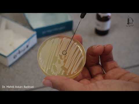 تست کاتالاز    