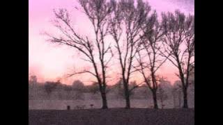 Ashes You Leave - Apathy Overdose