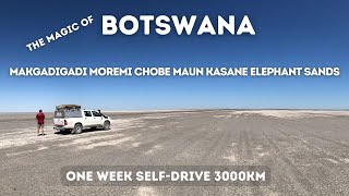 Why You Should Come To BOTSWANA - Even For One Week! 4x4 Solo Self-Drive Safari 3000km👌