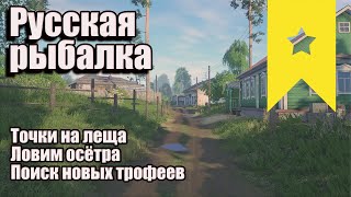 Точки на леща! Ловим осётра! Поиск новых трофеев! Русская рыбалка 4  - Стрим #рр4