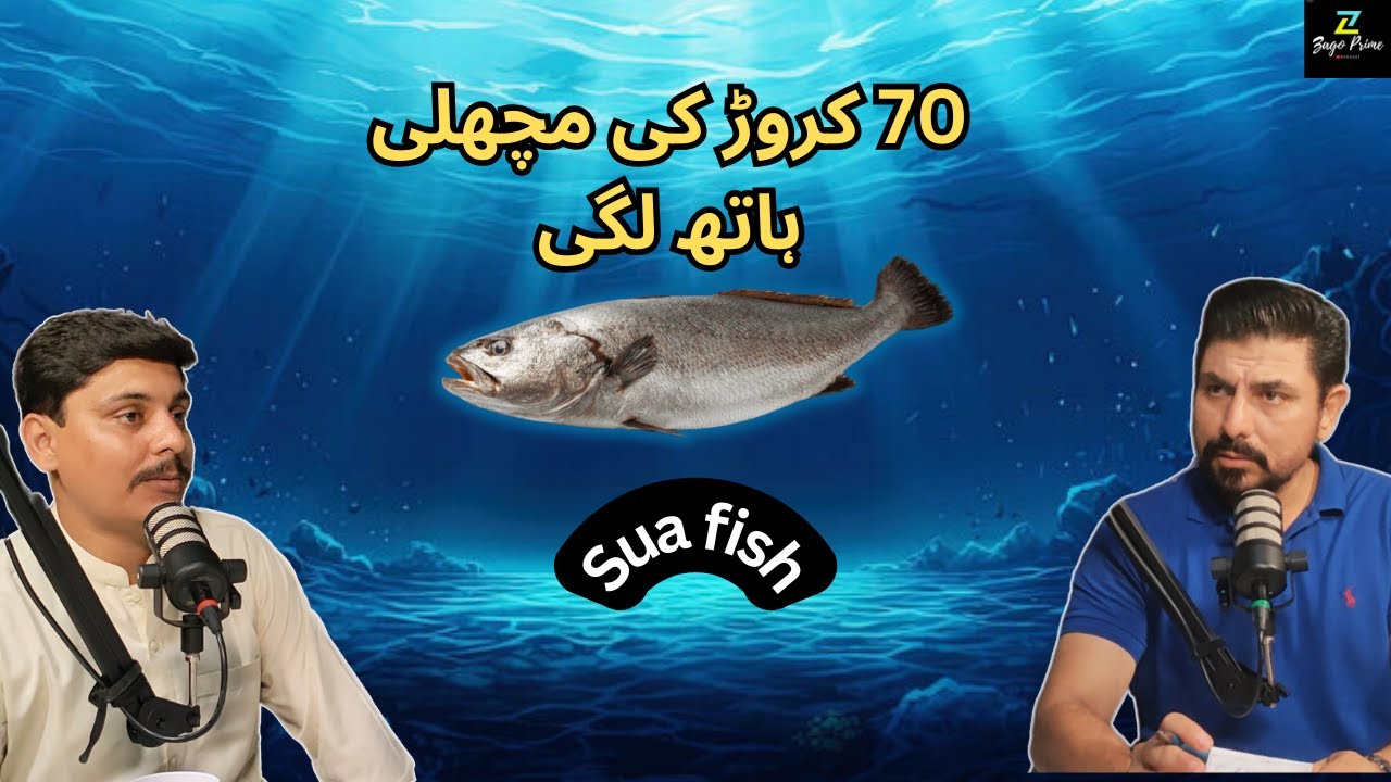 A fish worth 70 crore | Sua fish Fishermen found a treasure. - YouTube