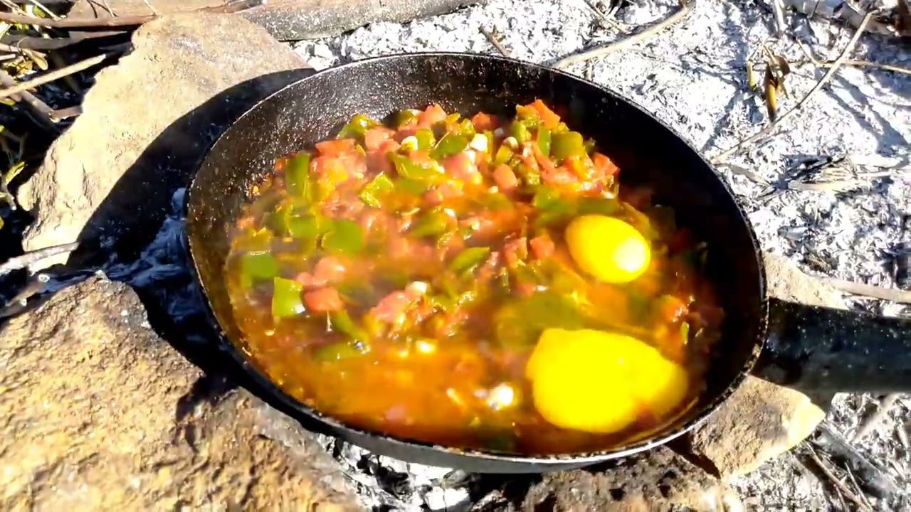 كيف يمر يومنا في جني الزيتون @مع اجواء رائعة ومشمسة 🥰