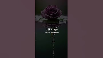 وَلَئِن صَبَرْتُمْ لَهُوَ خَيْرٌ لِّلصَّابِرِينَ #خالد_الجليل #قرآن #اكسبلور #سورة_النحل