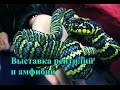 Московская выставка рептилий и амфибий