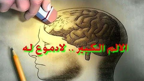 ثلاث سور من القرآن الكريم لتقوية الذاكرة وزيادة الحفض