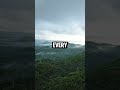 still rise reggae song