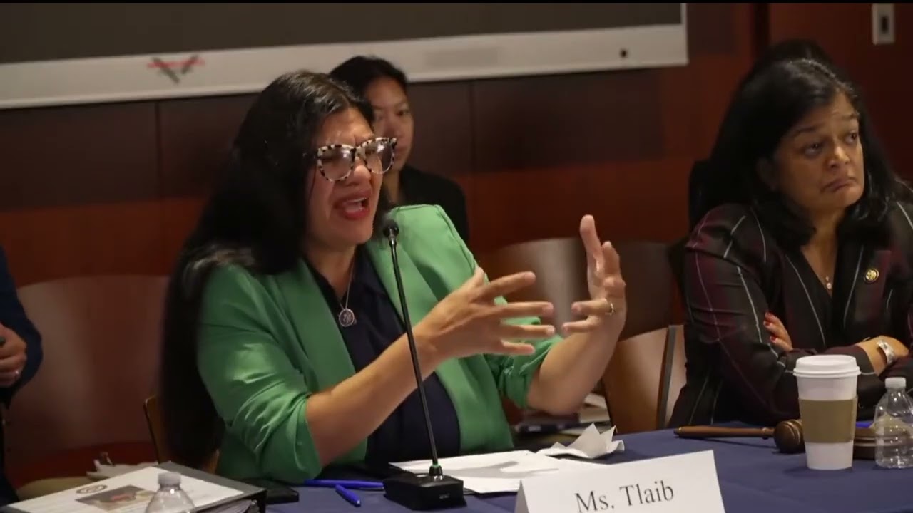 Rep.  Rashida Tlaib (D-MI) at the Shadow Hearing About Trump's Lawless Immigration Enforcement