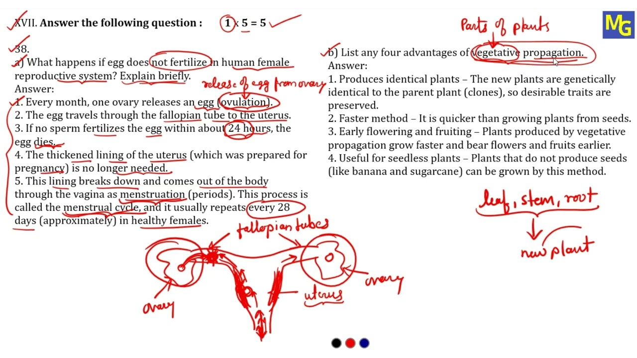 MQP - 4 | Part C Biology | 5 Mark | Class 10 | KSEAB | 2025 - 2026 | SSLC | Model Question Paper