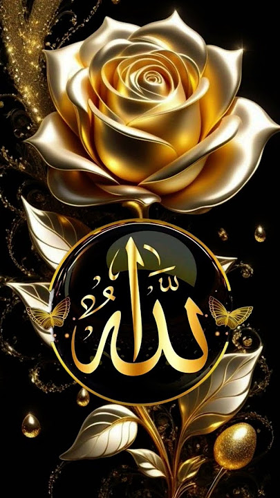 #allhu #allahquran #allhamdulillah #allha #allhah #allahuakbar #allhahuakbar @iloveMadina
