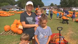 Vandalism at Covenant United Methodist doesn't stop pumpkin patch