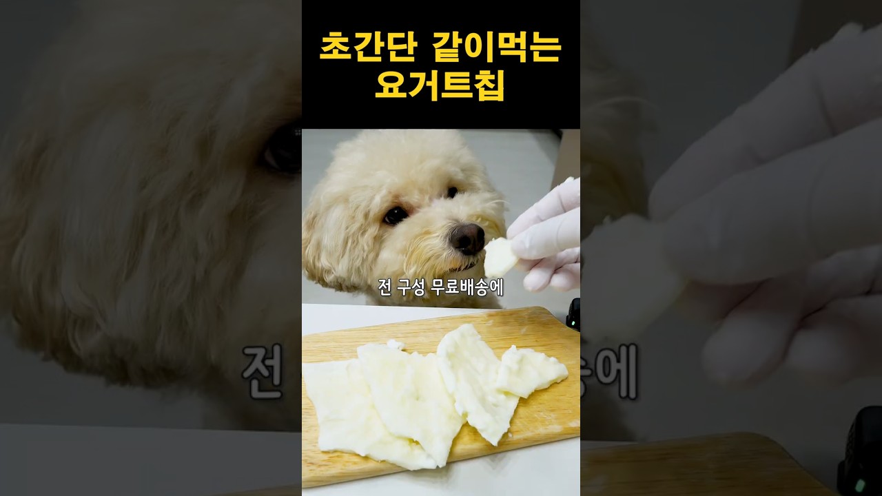 초간단 같이 먹는 요거트 칩 레시피 레시피 숏폼 썸네일