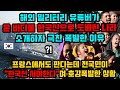 해외 밀리터리 유튜버가 온 바다를 한국산으로 도배한 나라를 소개하자 극찬폭발한 이유