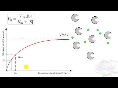 Vídeo: A equação de Michaelis Menten se aplica a todas as enzimas?