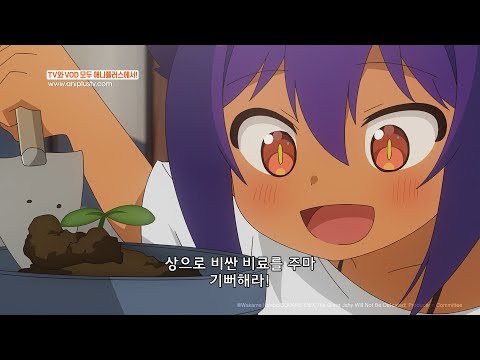 토마토 키우기, 참 쉽죠잉?_쟈히님은 기죽지 않아!_11화 하이라이트_[Aniplus]