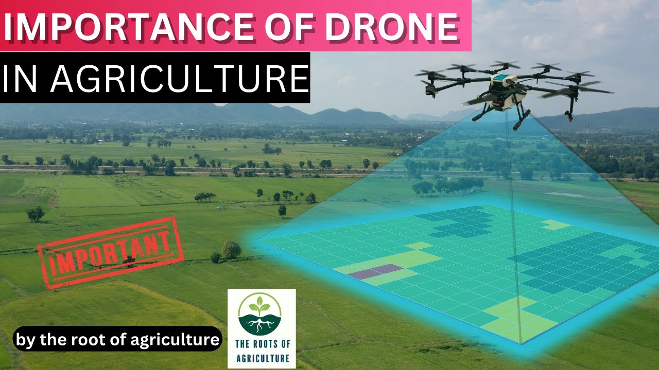 Benefits of using drones in agriculture - YouTube