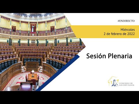 Sesión Plenaria (02/02/2022)