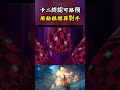 卡塔庫栗承認自始至終都沒有輕視過路飛,認可他的實力很強卻直接把路飛埋進粘糕墳墓中#onepiece #海賊王 #動漫