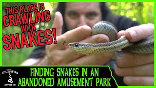 FINDING SNAKES IN AN ABANDONED AMUSEMENT PARK!