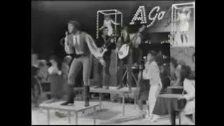 Paul Revere &amp; The Raiders - Just Like Me (60&#39;s garage rock)