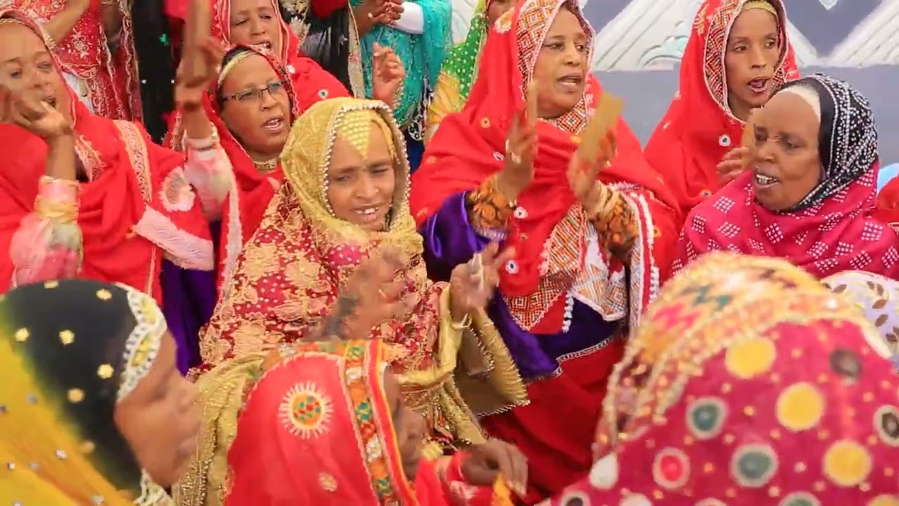 Adil & Eman wedding Ayach karabu