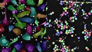 LIVE T Cell Assay Product Video