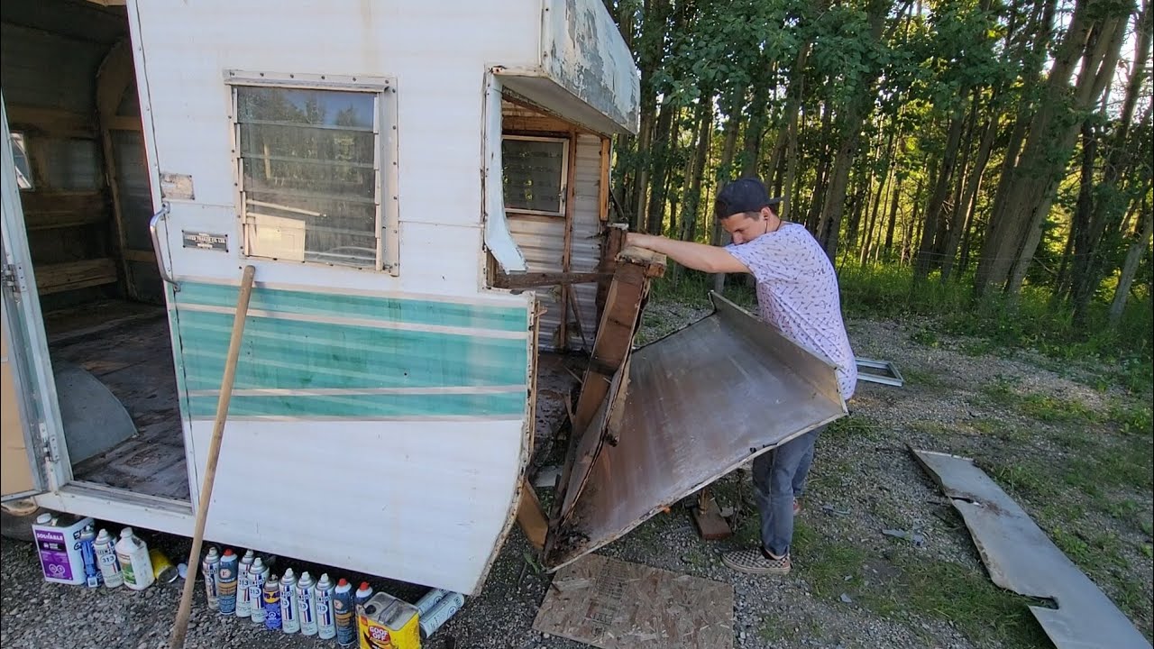 The ants ate alot of wood! | Another VLOG 