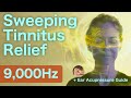 Tinnitus Relief: Sweeping Sound at 9,000Hz | Head Tinnitus, Acupressure, Ear Acupoints
