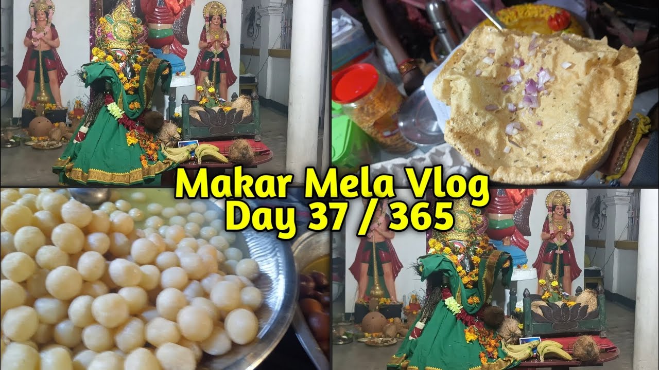 🔥 Makar Mela Vlog | Temple Darshan 🙏 Traditional Food 🍘 | Day 37/365 