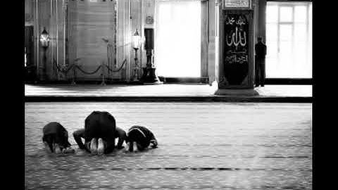 تلاوة مؤثرة { يَوْمَ يَرَوْنَ الْمَلَائِكَةَ لَا بُشْرَىٰ يَوْمَئِذٍ لِّلْمُجْرِمِينَ وَيَقُولُونَ .