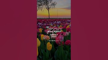 ادخلوها بسلام ذلك يوم الخلود | القارئ صلاح المصلي