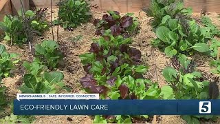 Consumer Reports: Eco-friendly lawn care