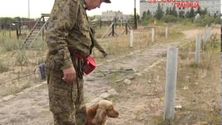 Специальный репортаж