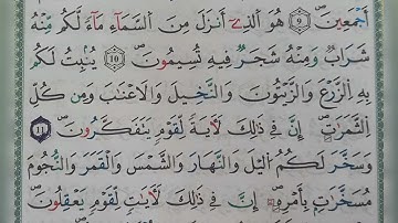 سورة النحل الآية من ١٠ الى ١٢ (10~12)
