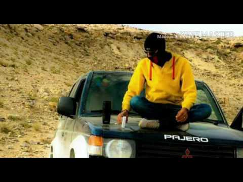 قصيدة البيجارو الشاعر خليل ابو بدر