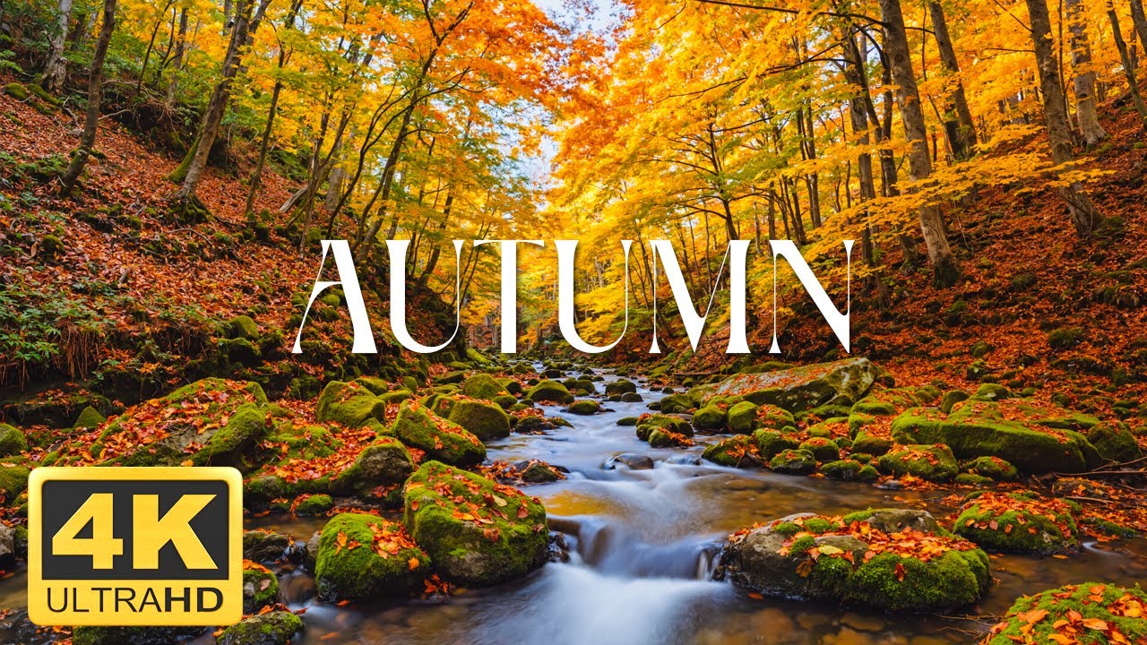 4K Cozy Autumn Vibes – Relaxing Piano Music & Peaceful Nature